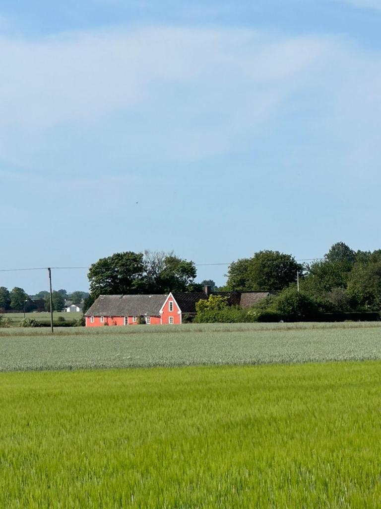 Oestangard Apartments Skillinge Exterior foto
